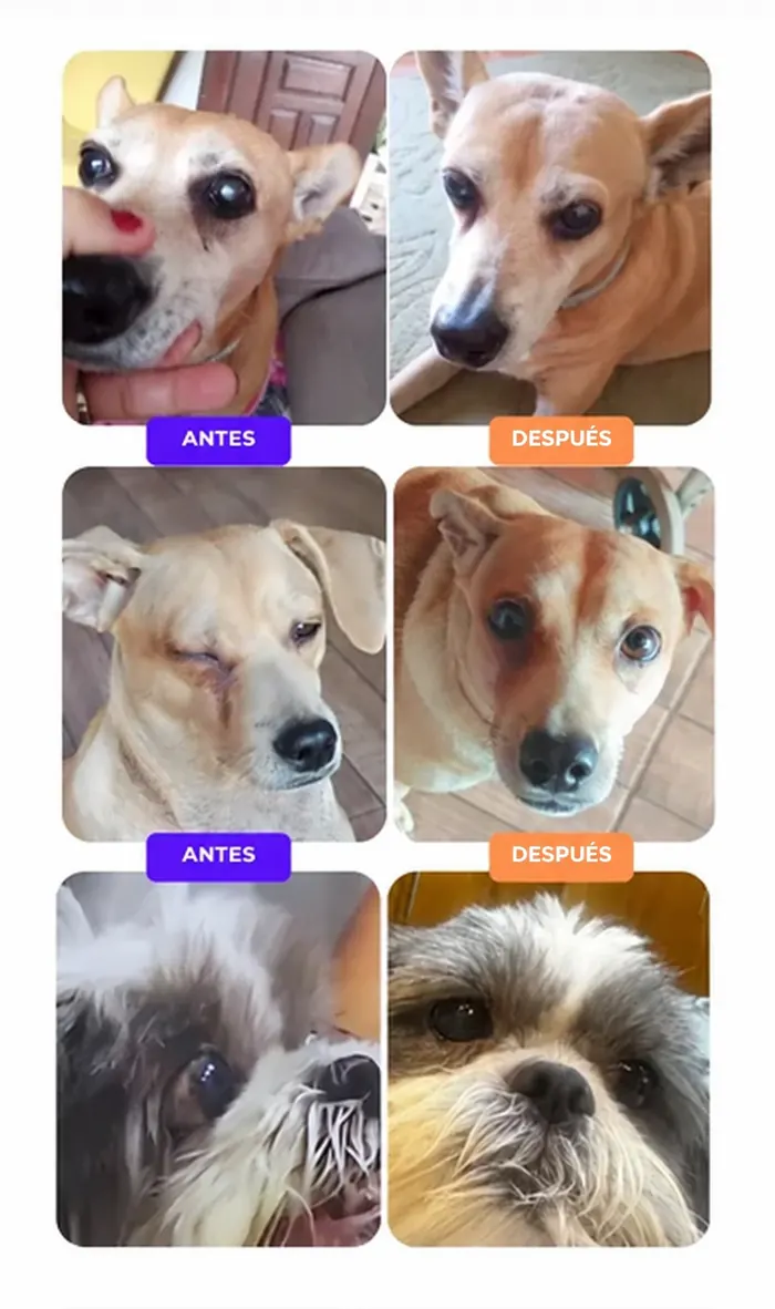 Testimonio de cliente 3